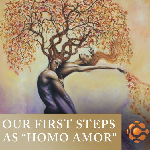 Our First Steps as “Homo Amor”